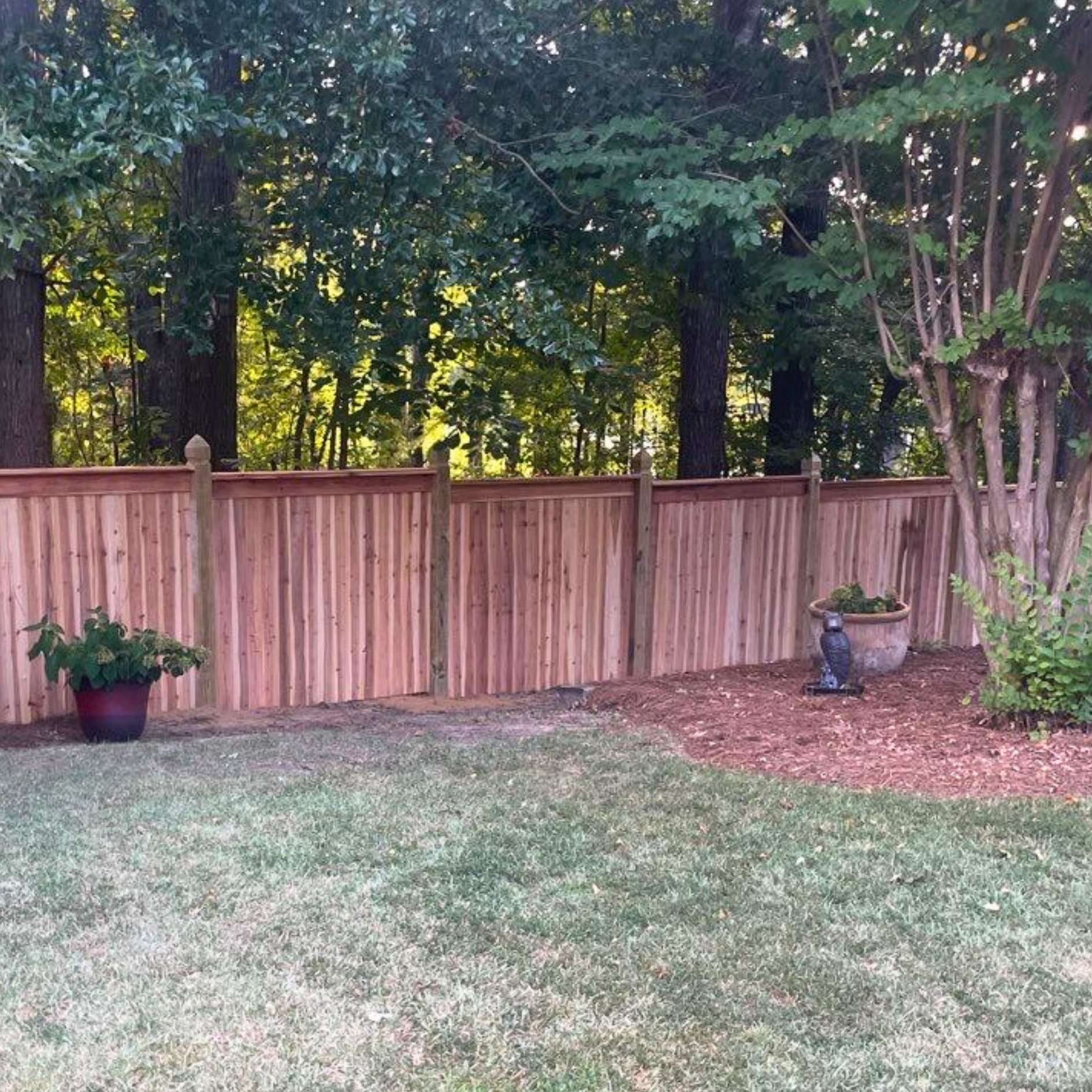 Cedar Privacy Fence