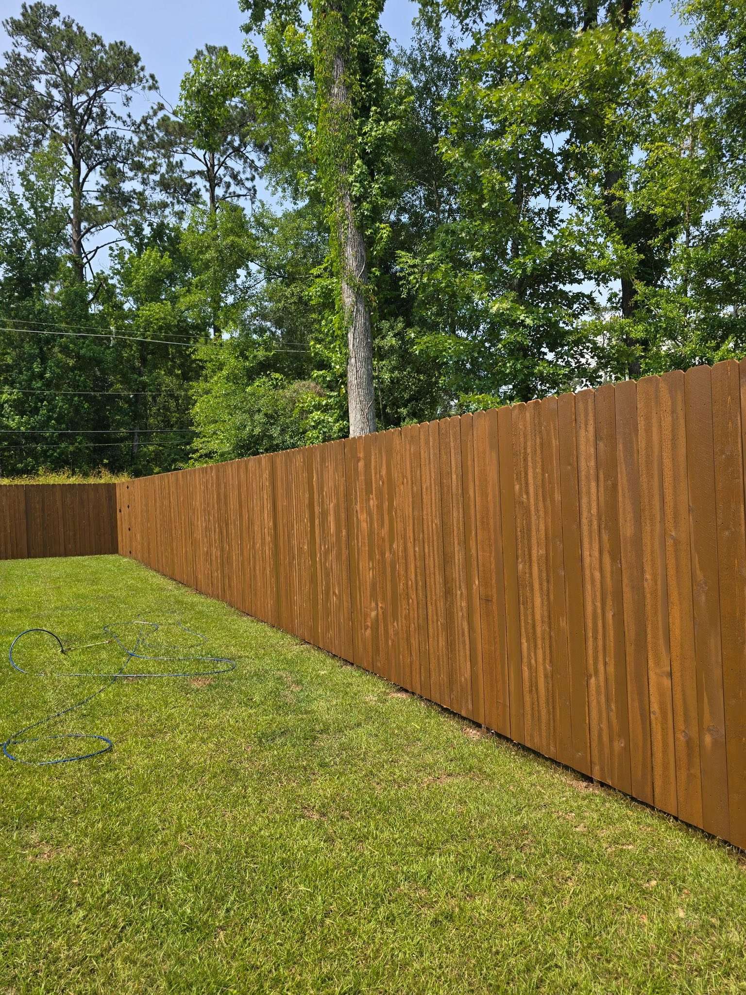 Stained Dogear Privacy Fence